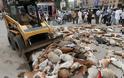 Απίστευτη ΚΤΗΝΩΔΙΑ: Οι αρχές στο Καράτσι δηλητηρίασαν εκατοντάδες αδέσποτα σκυλιά [photos] - Φωτογραφία 1