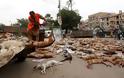 Απίστευτη ΚΤΗΝΩΔΙΑ: Οι αρχές στο Καράτσι δηλητηρίασαν εκατοντάδες αδέσποτα σκυλιά [photos] - Φωτογραφία 2