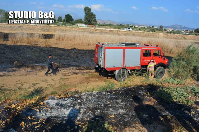 ΠΥΡΚΑΓΙΑ στη Νέα Κιο Αργολίδας [photos] - Φωτογραφία 3