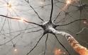 Nευρική σκόνη μέσα στο σώμα: ποια η λειτουργία της