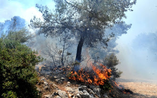 Πυρκαγιά έχει ξεσπάσει στην περιοχή Αγία Κυριακή στην Βαρυμπόμπη Αττικής! - Φωτογραφία 1