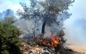 Πυρκαγιά έχει ξεσπάσει στην περιοχή Αγία Κυριακή στην Βαρυμπόμπη Αττικής!