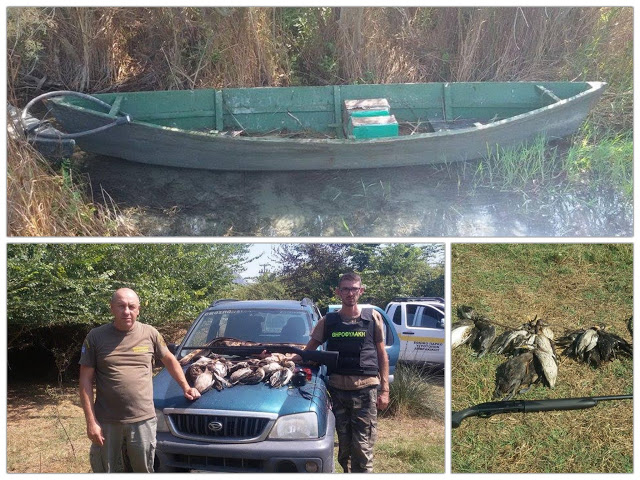 Σκότωσε 23 παπάκια στον Αμβρακικό και... συνελήφθη - Φωτογραφία 2