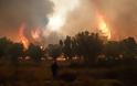 Δεν μαθαίνουν οι Κύπριοι- Διαβάστε για ποιο λόγο ξέσπασαν οι πυρκαγιές στην Πάφο