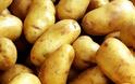 Πότε μπορούν να προκαλέσουν δηλητηρίαση οι πατάτες...;