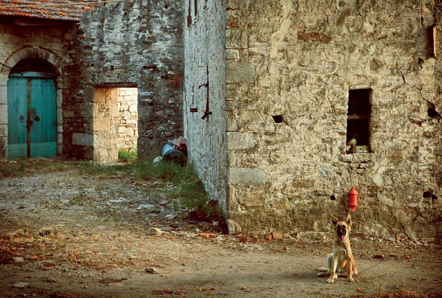 8811 - Επαγγελματίες φωτογράφοι φωτογραφίζουν το Άγιο Όρος (4) Καρτελιάς Κωνσταντίνος - Φωτογραφία 23