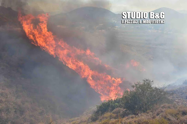 Μεγάλη φωτιά στα Λευκακια Ναυπλίου [photos] - Φωτογραφία 5