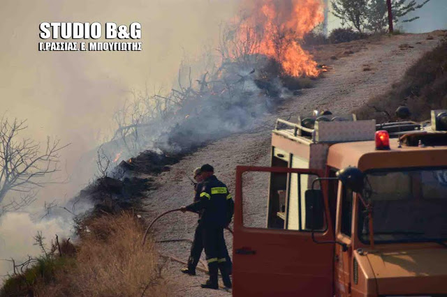 Μεγάλη φωτιά στα Λευκακια Ναυπλίου [photos] - Φωτογραφία 6