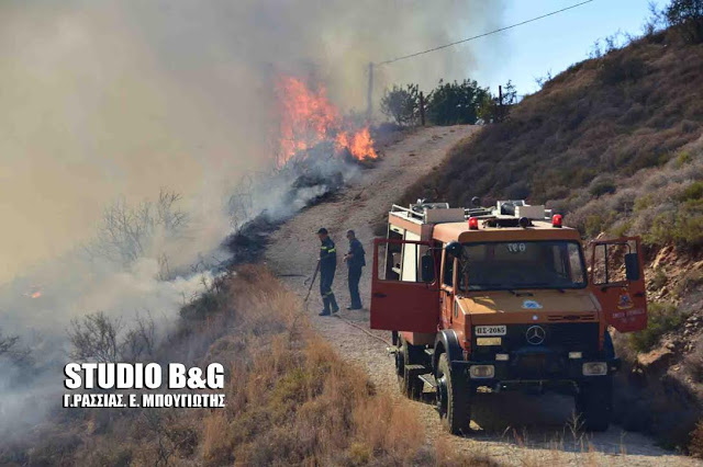 Μεγάλη φωτιά στα Λευκακια Ναυπλίου [photos] - Φωτογραφία 7