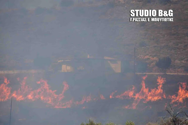 Μεγάλη φωτιά στα Λευκακια Ναυπλίου [photos] - Φωτογραφία 8