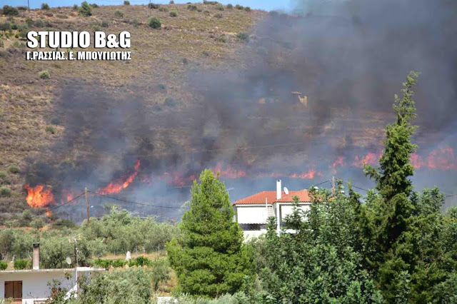 Μεγάλη φωτιά στα Λευκακια Ναυπλίου [photos] - Φωτογραφία 9