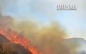 Μεγάλη φωτιά στα Λευκακια Ναυπλίου [photos] - Φωτογραφία 4