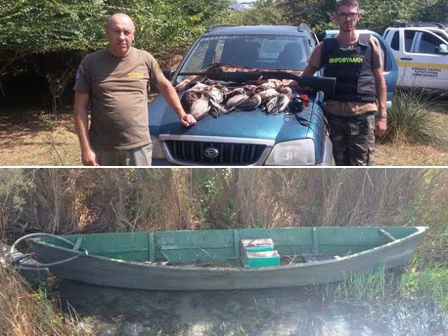 Συνελήφθη λαθροθήρας στον βάλτο της Στρογγυλής στον Αμβρακικό - Φωτογραφία 3