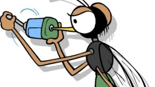 Γιατί σε τσιμπούν τα κουνούπια ; - Φωτογραφία 1