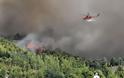 Υπό μερικό έλεγχο η δασική πυρκαγιά στην περιοχή Κόκκινο στη Βοιωτία