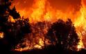 Καίγεται η Καλιφόρνια - Η πυρκαγιά έφτασε μέχρι τα σπίτια [photos] - Φωτογραφία 2