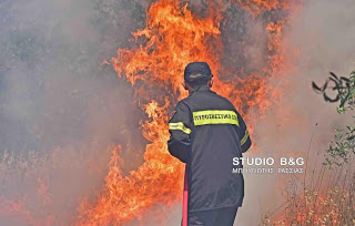 Υπό έλεγχο η πυρκαγιά στην Ερμιονιδα [photos] - Φωτογραφία 1