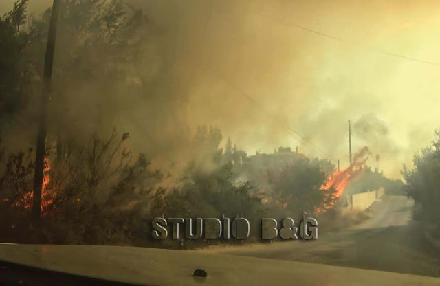 Υπό έλεγχο η πυρκαγιά στην Ερμιονιδα [photos] - Φωτογραφία 2