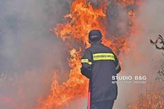Υπό έλεγχο η πυρκαγιά στην Ερμιονιδα [photos]