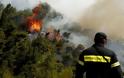 Δύο τα μέτωπα της πυρκαγιάς στην Εύβοια - Με εναέρια μέσα η κατάσβεση