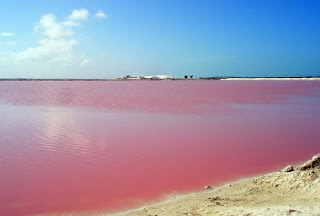 Σε ποιο μέρος του κόσμου βρίσκεται αυτή η περίεργη ροζ λίμνη; - Φωτογραφία 1