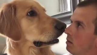 Θα πάθετε πλάκα! Δείτε τον ΤΡΟΜΟ που νιώθει αυτός ο σκύλος όταν το αφεντικό του του λέει ότι απέκτησε αδερφάκι... [video] - Φωτογραφία 1