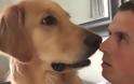 Θα πάθετε πλάκα! Δείτε τον ΤΡΟΜΟ που νιώθει αυτός ο σκύλος όταν το αφεντικό του του λέει ότι απέκτησε αδερφάκι... [video]