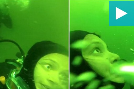 ΔΡΑΜΑΤΙΚΟ ΒΙΝΤΕΟ με ΣΚΗΝΕΣ ΤΡΟΜΟΥ: Γυναίκα δύτης παθαίνει πανικό σε βάθος 15 μέτρων - Βγάζει τη μάσκα της και τη συσκευή του οξυγόνου! ΔEITE τι ακολούθησε… - Φωτογραφία 1