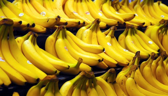 Tο DNΑ των μυκήτων που χαλάνε τις μπανάνες - Φωτογραφία 1
