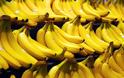 Tο DNΑ των μυκήτων που χαλάνε τις μπανάνες