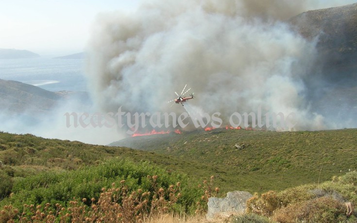 Σκληρή μάχη με τις φλόγες δίνουν οι πυροσβέστες στην Κάρυστο! [vid] - Φωτογραφία 1