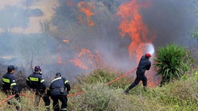 Εύβοια: Ανεξέλεγκτη η μεγάλη φωτιά στην Κάρυστο - Έκαψε σπίτια - Μάχη με τις φλόγες - Φωτογραφία 1