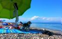 3 παραλίες στις οποίες θα μπορούν να κάνουν μπάνιο και τα σκυλιά όρισε ο Δήμος Θερμαϊκού