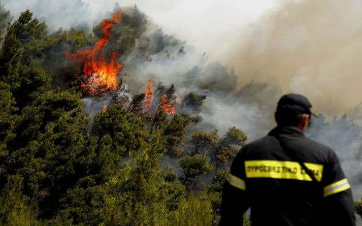 Σε εξέλιξη οι πυρκαγιές σε Πόρτο Λάφια Ευβοίας και Μέγαρα - Στις περιοχές επικρατούν ισχυροί άνεμοι - Φωτογραφία 1