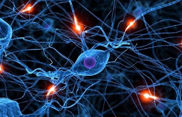 Τεχνητοί νευρώνες με ελληνική υπογραφή - Φωτογραφία 1