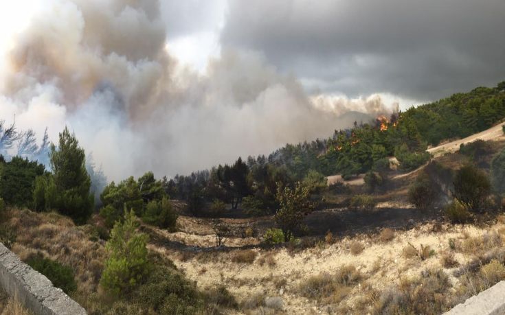 Σε εξέλιξη πυρκαγιά στην περιοχή του Μαυρελίου Καλαμπάκας - Φωτογραφία 1