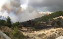 Σε εξέλιξη πυρκαγιά στην περιοχή του Μαυρελίου Καλαμπάκας