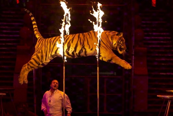 Το τσίρκο με ζώα απαγορεύτηκε στο Ιράν από τον περασμένο Απρίλη - Φωτογραφία 1