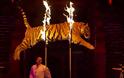 Το τσίρκο με ζώα απαγορεύτηκε στο Ιράν από τον περασμένο Απρίλη