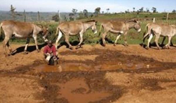 Η Αιθιοπία στην προεδρία του «Φόρουμ Κλιματικά Ευάλωτων Χωρών» - Φωτογραφία 1