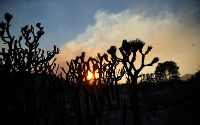 Στάχτη δεκάδες σπίτια και δεκάδες χιλιάδες στρέμματα από την  ανεξέλεγκτη φωτιά στην Καλιφόρνια - 80.000 άνθρωποι εγκατέλειψαν τις εστίες τους - Φωτογραφία 6