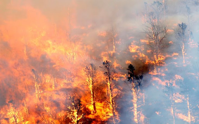 Στάχτη δεκάδες σπίτια και δεκάδες χιλιάδες στρέμματα από την  ανεξέλεγκτη φωτιά στην Καλιφόρνια - 80.000 άνθρωποι εγκατέλειψαν τις εστίες τους - Φωτογραφία 9