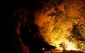 Στάχτη δεκάδες σπίτια και δεκάδες χιλιάδες στρέμματα από την  ανεξέλεγκτη φωτιά στην Καλιφόρνια - 80.000 άνθρωποι εγκατέλειψαν τις εστίες τους - Φωτογραφία 1