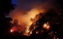 Στάχτη δεκάδες σπίτια και δεκάδες χιλιάδες στρέμματα από την  ανεξέλεγκτη φωτιά στην Καλιφόρνια - 80.000 άνθρωποι εγκατέλειψαν τις εστίες τους - Φωτογραφία 4
