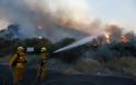 Στάχτη δεκάδες σπίτια και δεκάδες χιλιάδες στρέμματα από την  ανεξέλεγκτη φωτιά στην Καλιφόρνια - 80.000 άνθρωποι εγκατέλειψαν τις εστίες τους - Φωτογραφία 8