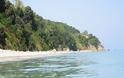 Οι επτά «άγνωστες» παραλίες της Κεφαλονιάς - Φωτογραφία 7