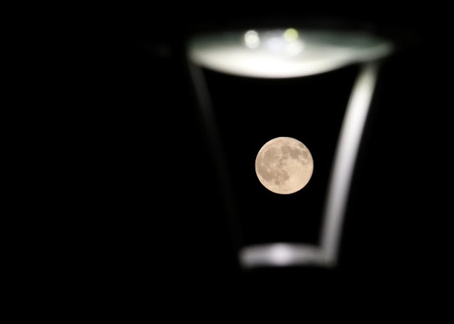 Μαγική η ατμόσφαιρα στον ιστορικό Κούλε χτες το βράδυ!  Όλο το Ηράκλειο ήταν εκεί για να απολαύσει το Αυγουστιάτικο φεγγάρι - Φωτογραφία 10
