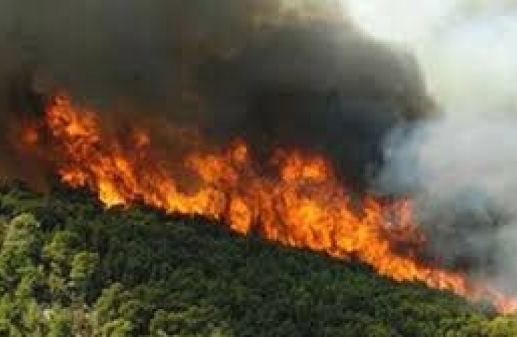 Kαλάβρυτα: Πυρκαγιά σε δύσβατη περιοχή - Εσπευσε Πυροσβεστική και άνδρες της 6ης ΕΜΑΚ - Φωτογραφία 1