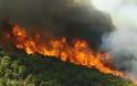 Kαλάβρυτα: Πυρκαγιά σε δύσβατη περιοχή - Εσπευσε Πυροσβεστική και άνδρες της 6ης ΕΜΑΚ