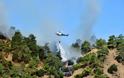 Σε εξέλιξη πυρκαγιά στις Αιγές Ακράτας - Δεν απειλεί κατοικημένες περιοχές